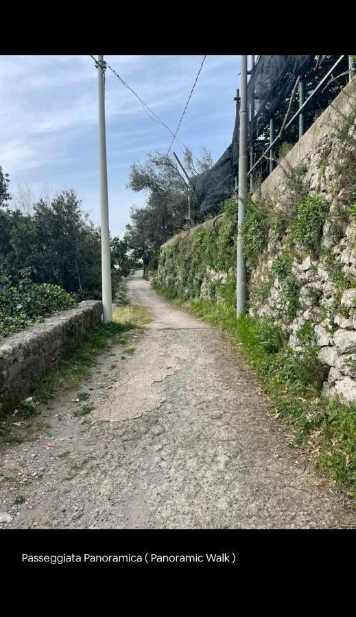Villa La Scivitella à Amalfi Extérieur photo